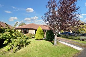 Photo 17- click for photo gallery